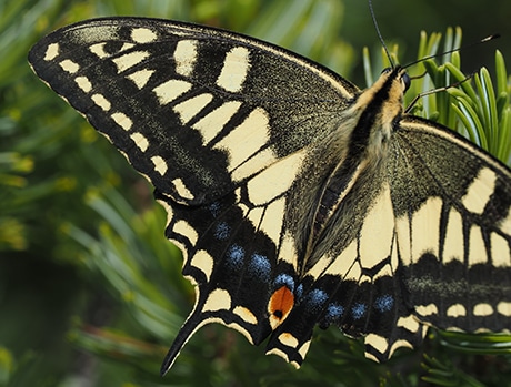 ���]������}�N���܂ň��|�I�ȎB�e�̈�