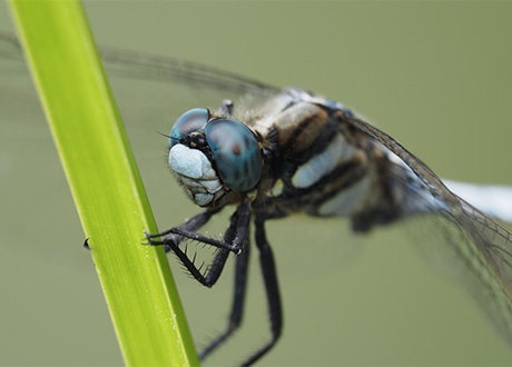 �e���R���o�[�^�[MC-14 + �����e���R���o�[�^�[�g�p�� 1.01�{[1]