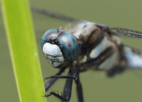 �e���R���o�[�^�[MC-20 + �����e���R���o�[�^�[�g�p�� 1.43�{[1]