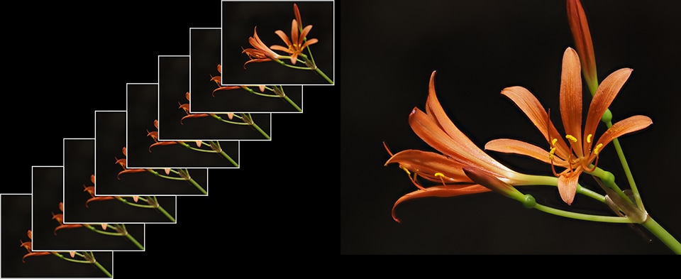 �[�x�����@�\�ɂ��Ή�