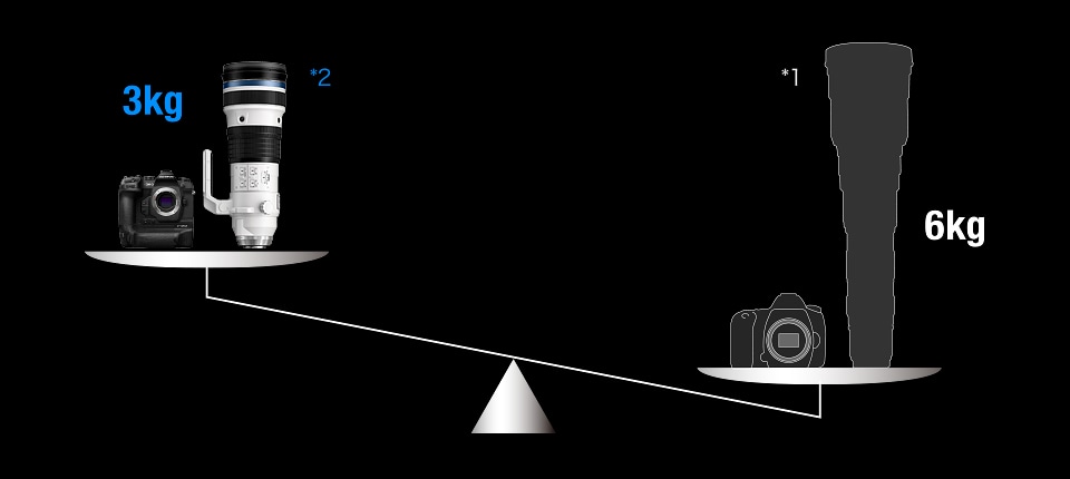 �t���T�C�Y��჌�t�V�X�e���̂��悻�����̏d��