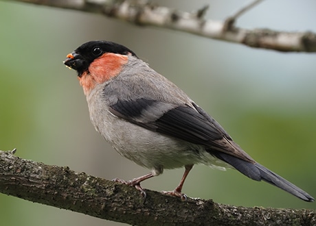 1000mm����[1]�@�莝���B�e