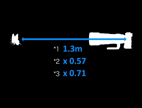 �Y�[���S��