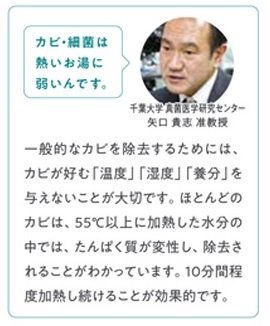 ��ʓI�ȃJ�r������