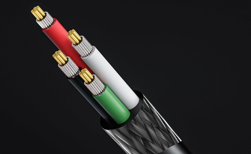 �����b�L�P���������̂��̗p���ē`�����X��ጸ