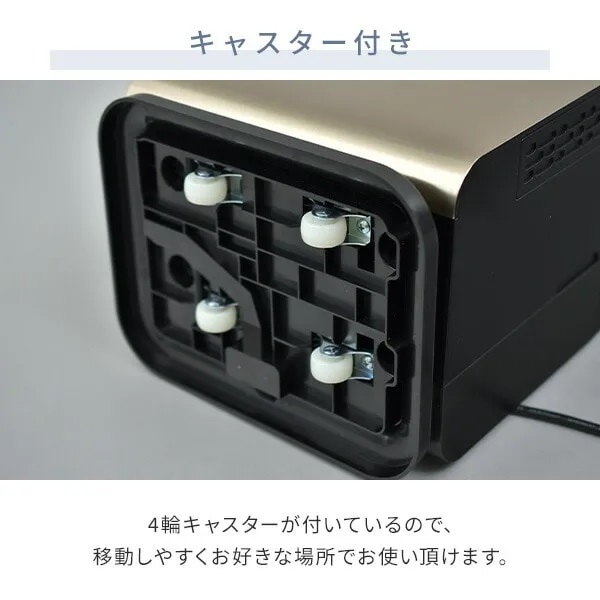 �L���X�^�[�t��