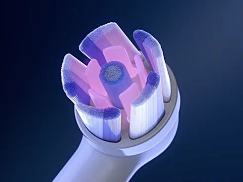 16�x�ɌX�΂����u���V���͂��ɂ������Ԃ܂Ŏ��C������