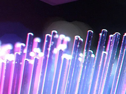 �������ɂ₳�����ѐ�ی`���H