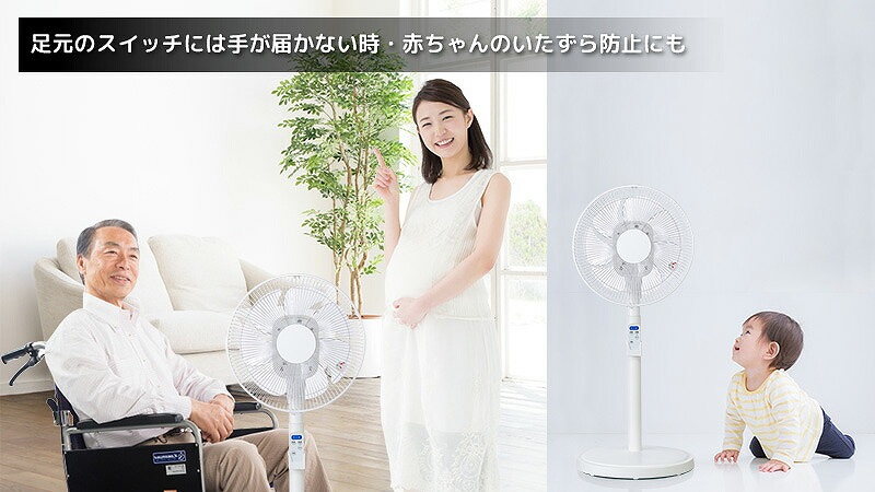 ���N�z�̕���q��Đ��тɂ����S�̏㕔����p�l��