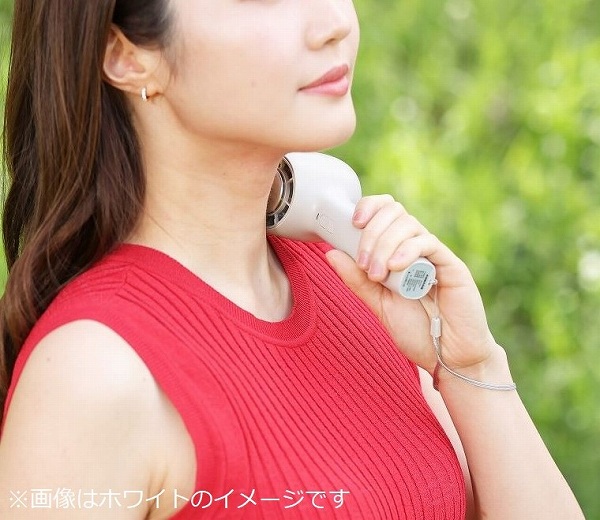 ��p�v���[�g�t���~�j�n���f�B�t�@��
�A�C�t�@�� �t���[�Y 2�@IF-FZ23 GY