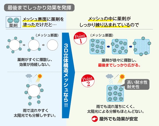 3D���̍\�����b�V���Ƃ́c