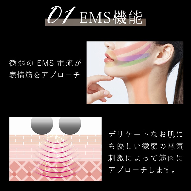 �f���P�[�g�Ȃ����ɂ��D���������EMS