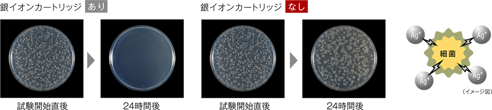 ��C�I���J�[�h���b�W