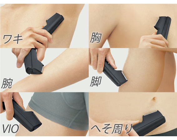 �Ή�����