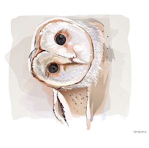 �C���X�g�A�A�[�g��i