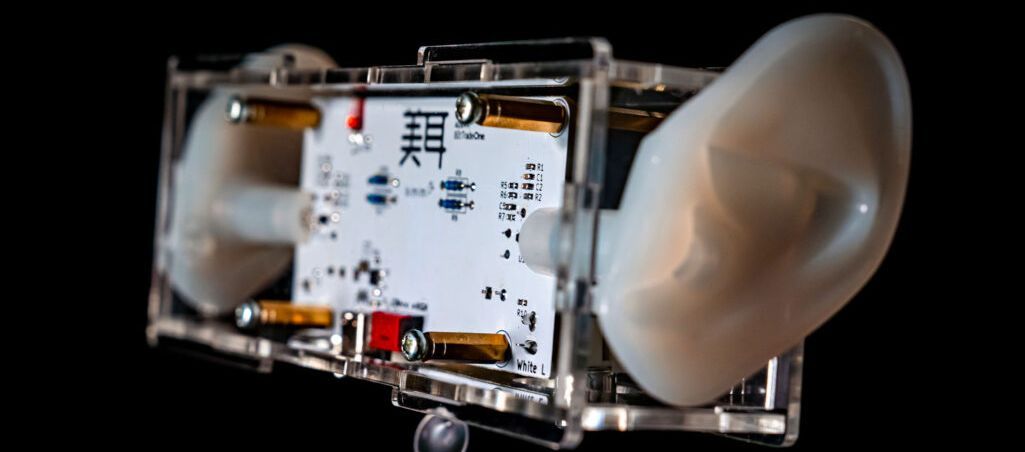 �C�y�ɁA�o�C�m�[�����^���B