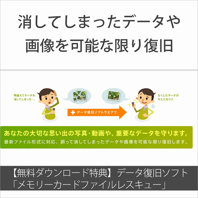 �y�����_�E�����[�h���T�z�f�[�^�����\�t�g�u�������[�J�[�h �t�@�C�����X�L���[�v�i���j