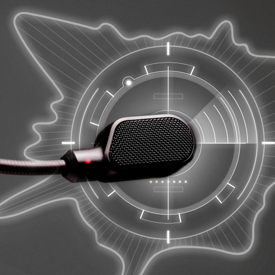 �D�ꂽ���ēx�Ɛ��x�𔭊����鋭�����ꂽ�}�C�N