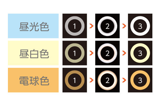 DEL04WH �����F �����F