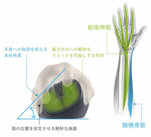 ���Ǝw�̕��S���Ɍ��܂ŗ}�����A������R�ɏ悹�邾���Ŏg����}�E�X