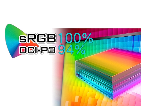 sRGB100