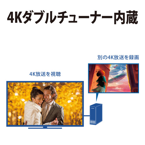 4K�_�u���`���[�i�[����