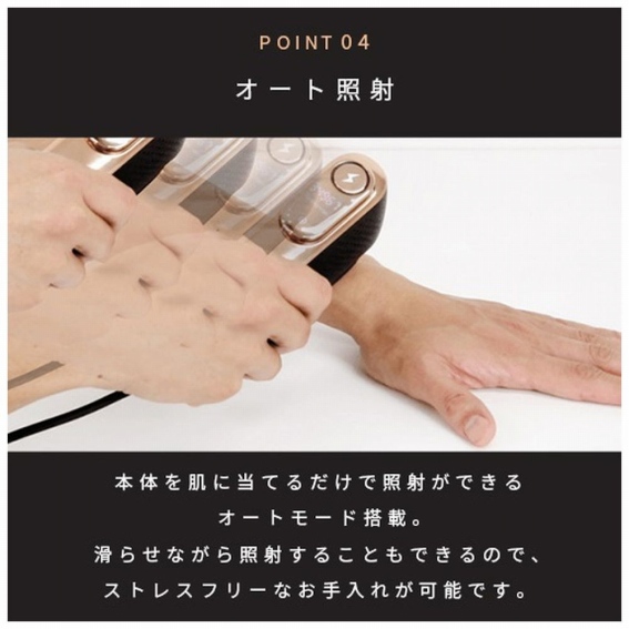 �I�[�g�Ǝ�