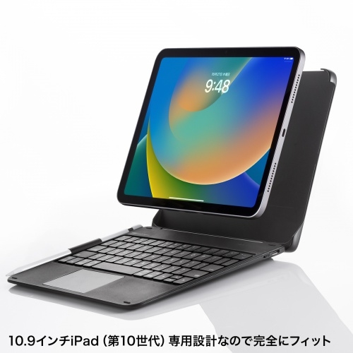 10.9�C���`iPad��p�݌v