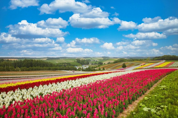 �L���ʂ���