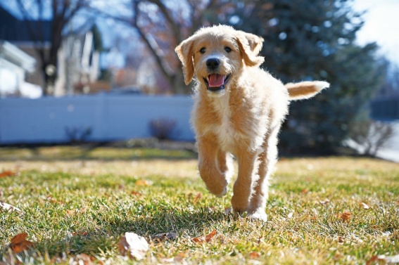 �������o