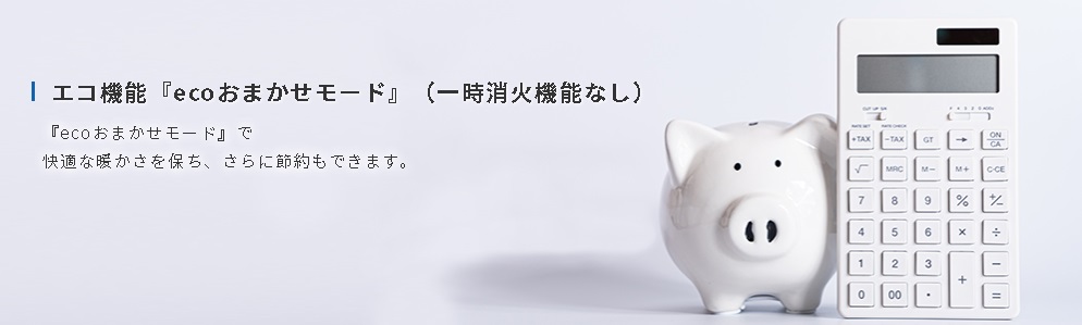 eco�@�\eco���C�����[�h