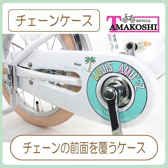 �`�F�[���P�[�X