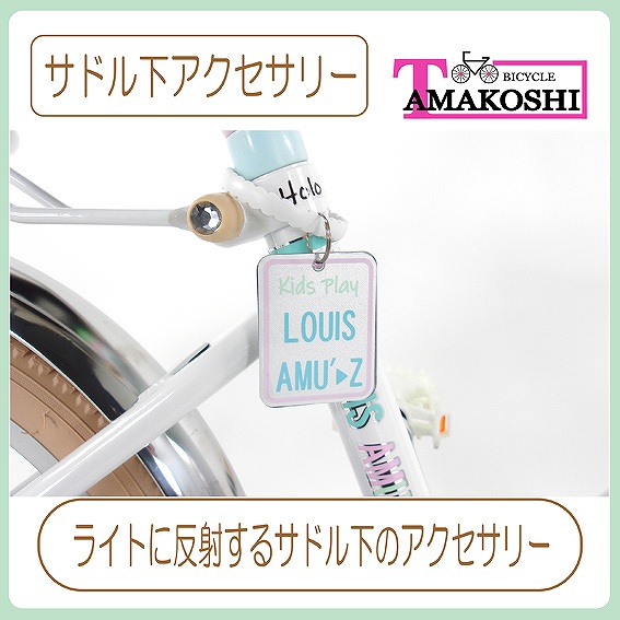 �T�h�����A�N�Z�T���[