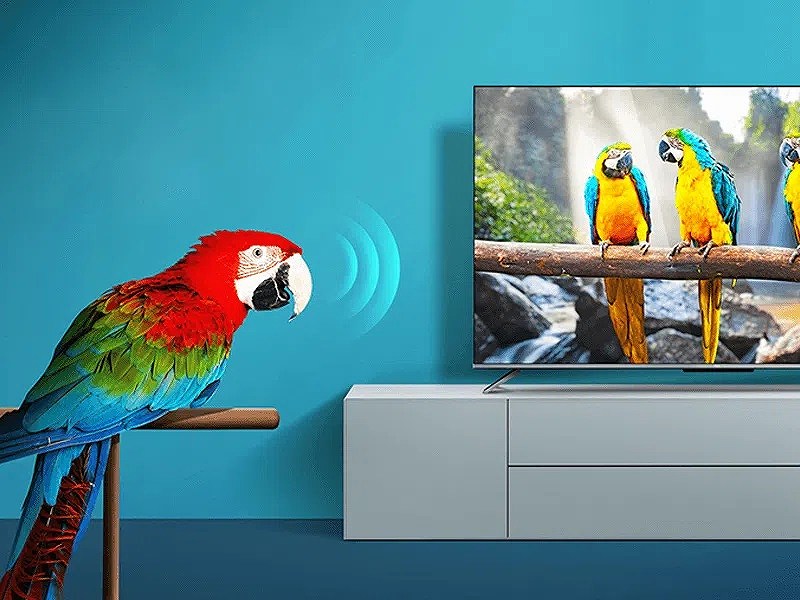 �����R���g���[��