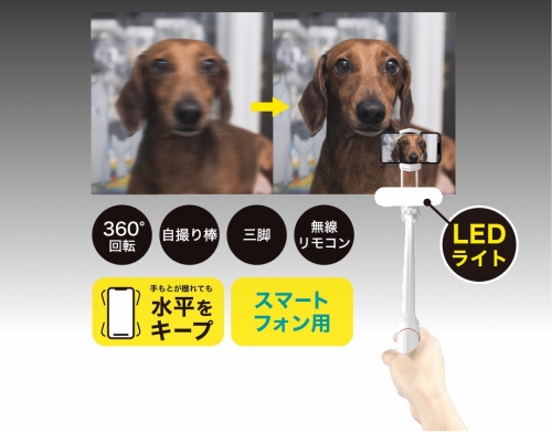 ��u����}���A�X���[�Y�ȉf�����B�e