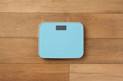 �{�̐F�̓C���e���A�ɒ��a���郌�C�N�u���[