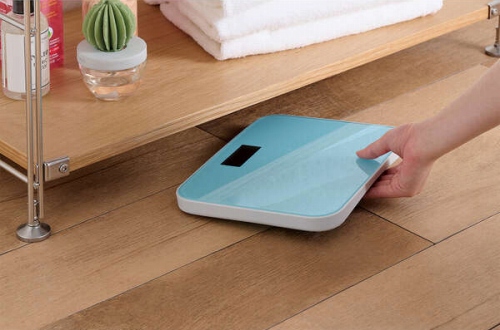 �o�����ꂵ�₷���`��