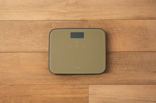 �{�̐F�̓C���e���A�ɒ��a���郌�C�N�u���[