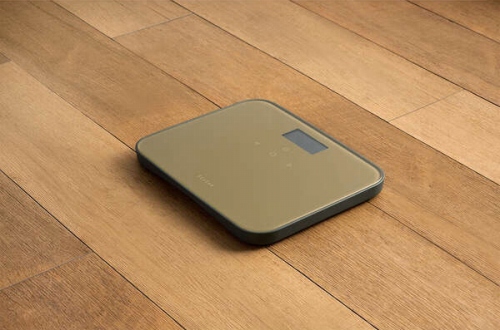 �{�̐F�̓C���e���A�ɒ��a���郌�C�N�u���[