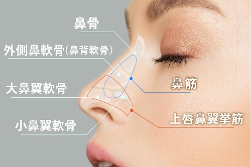 �@�̍����͍��ł͂Ȃ��A�w��x�Ɓw�ؓ��x�ɂ���ĕω�