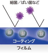 ���ł�����