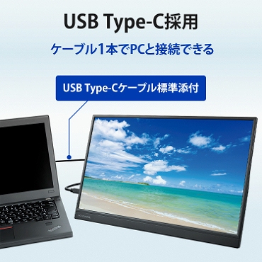 USB Type-C̗p