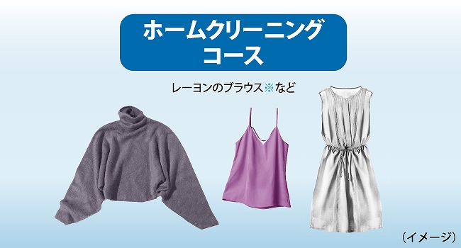 �u�z�[���N���[�j���O�R�[�X�v