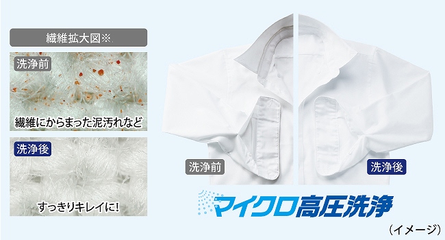 �G���̔玉����⑳���̉���ɂ��I