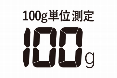 100�O�����P�ʂ̐����ȑ��肪�\