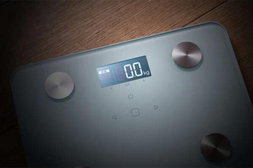 �o�b�N���C�g����