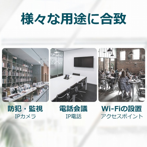 �l�X�ȗp�r�ɍ��v