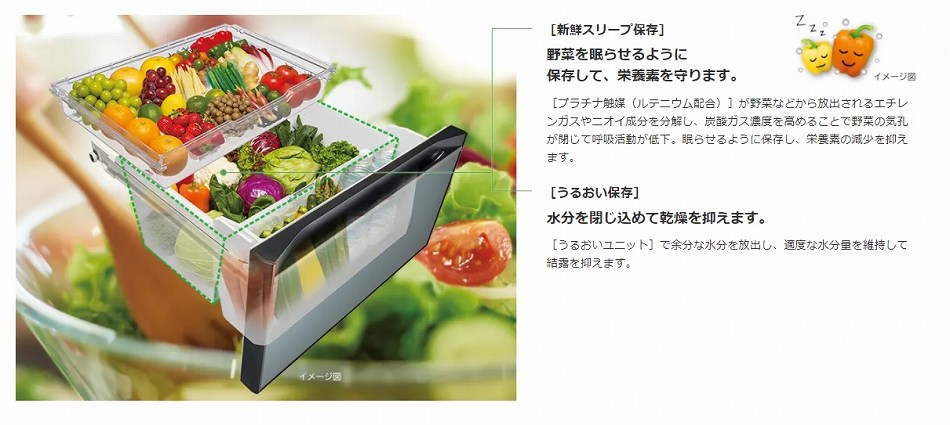 �V�N�X���[�v��؎�