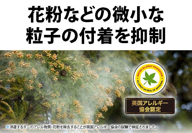 �ԕ��Ȃǂ̔����ȗ��q�̕t����}��