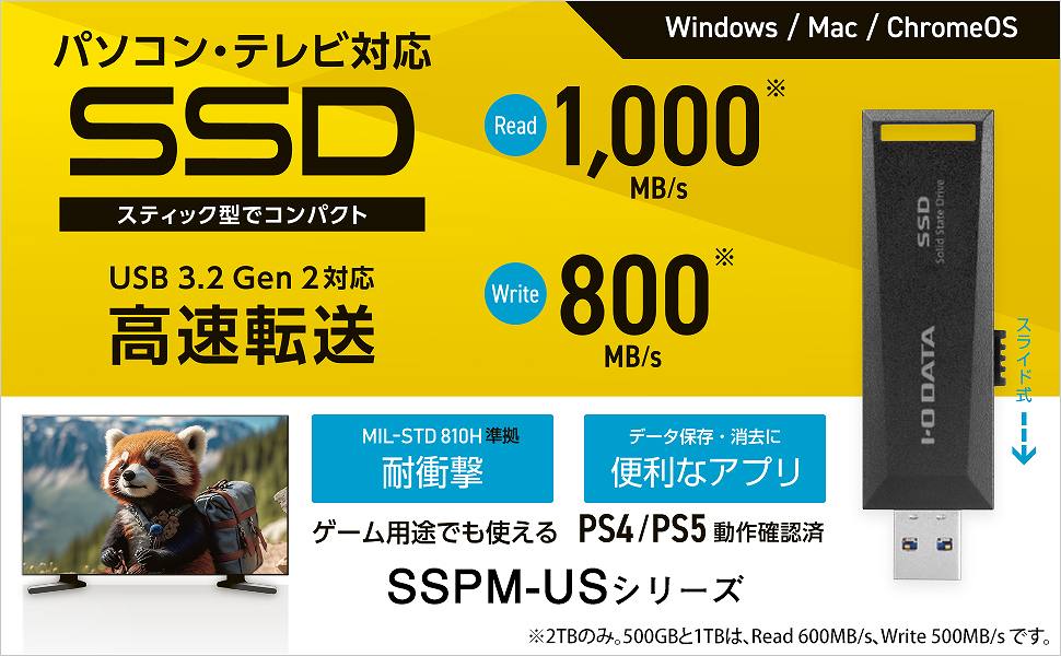 �R���p�N�g�ȃX�e�B�b�NSSD